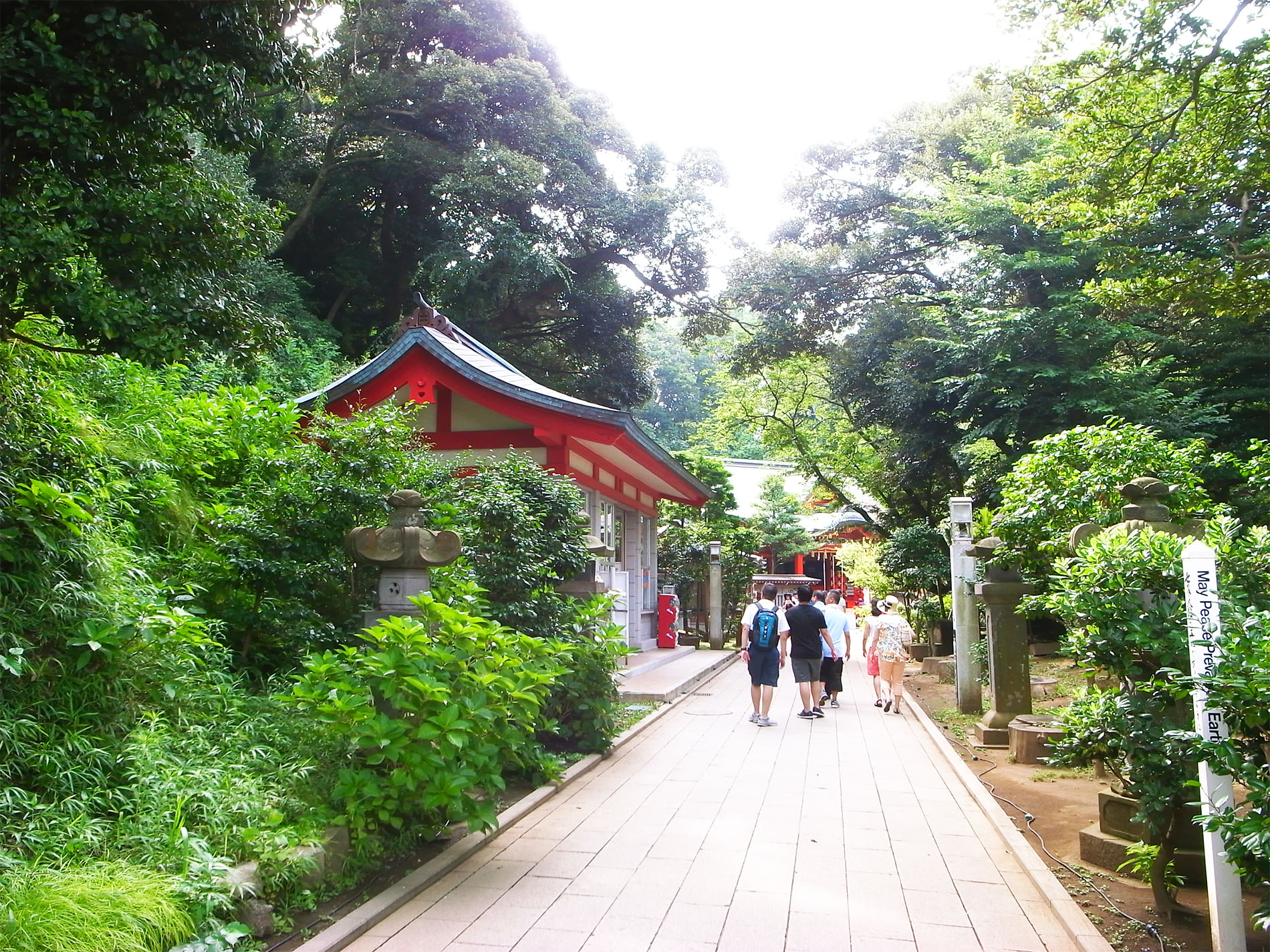 江ノ島 2015 | Enoshima Island walking 2015