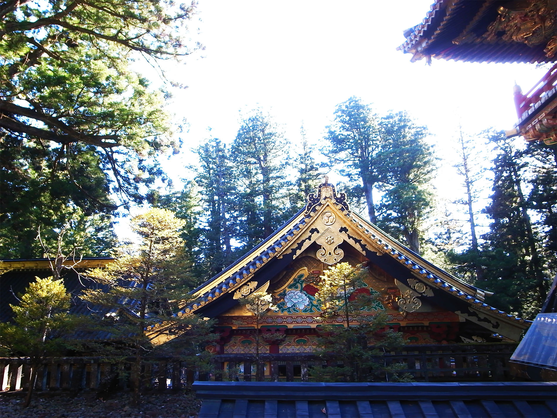 日光東照宮 / 2016 | Nikko Toshogu Shine in 2016