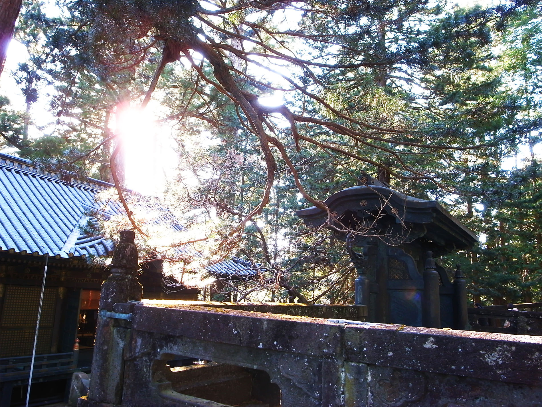 日光東照宮 / 2016 | Nikko Toshogu Shine in 2016