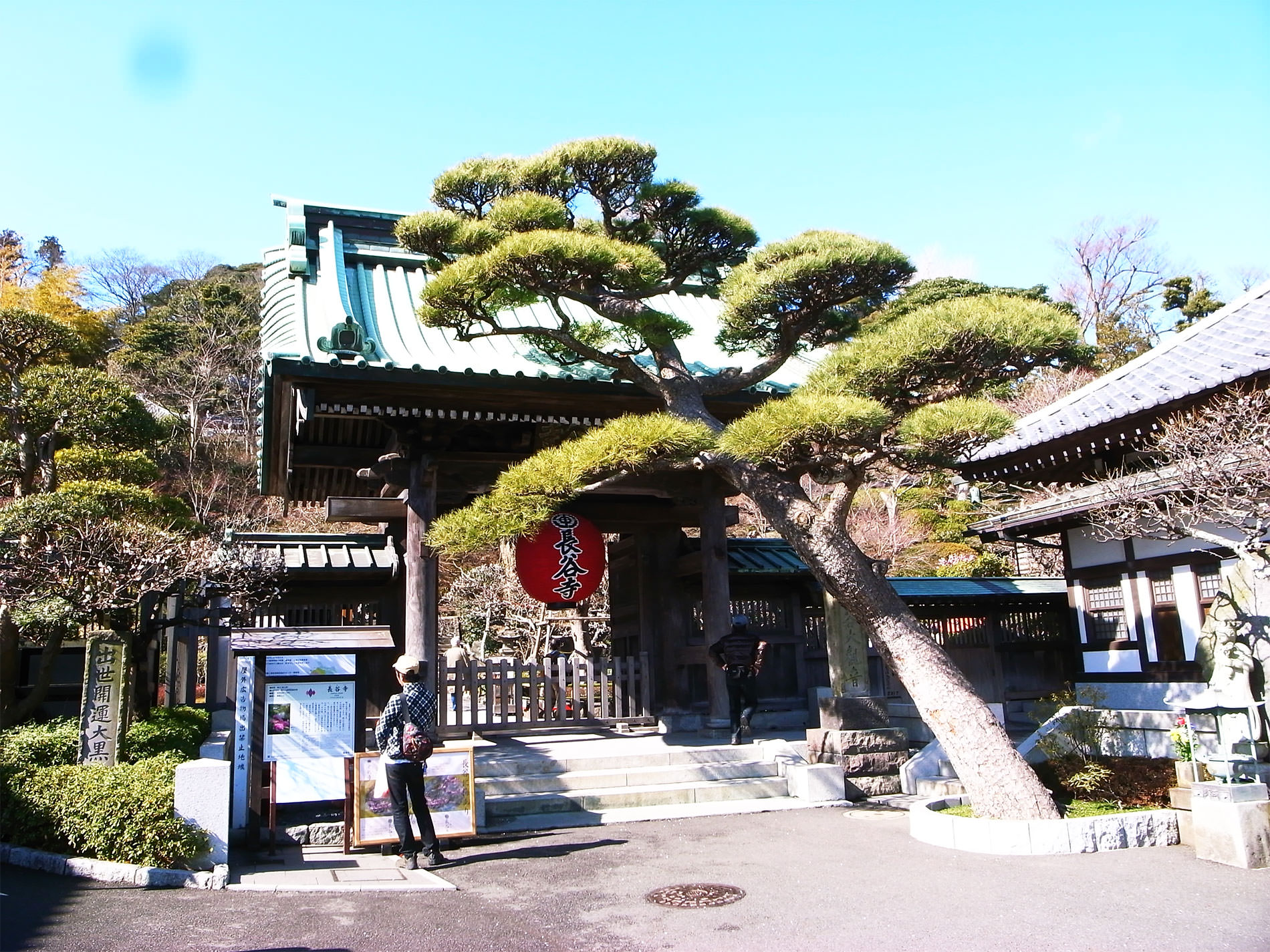 鎌倉散策と梅の花と | Kamakura walking and Ume in 2016