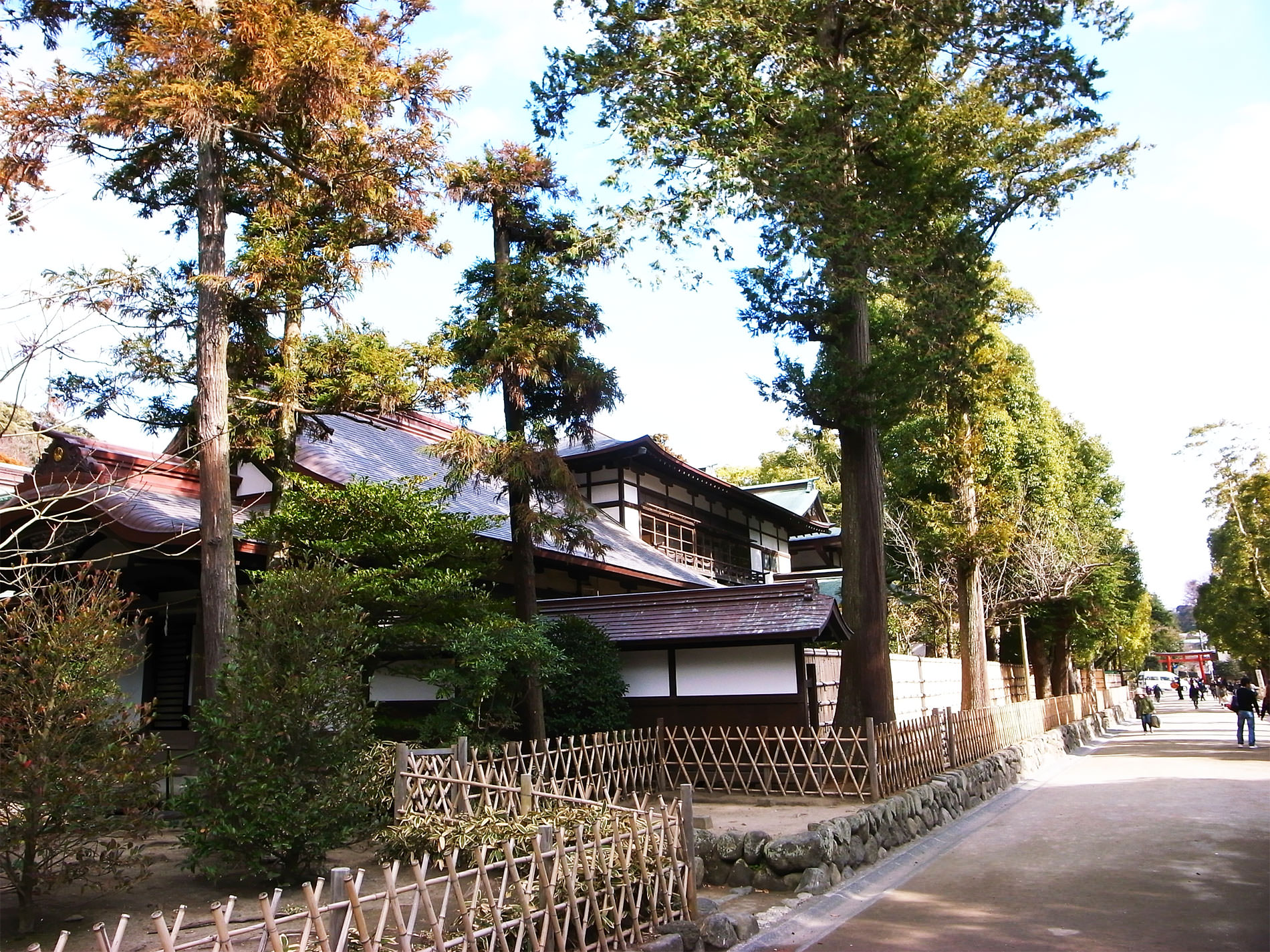 鎌倉散策と梅の花と | Kamakura walking and Ume in 2016