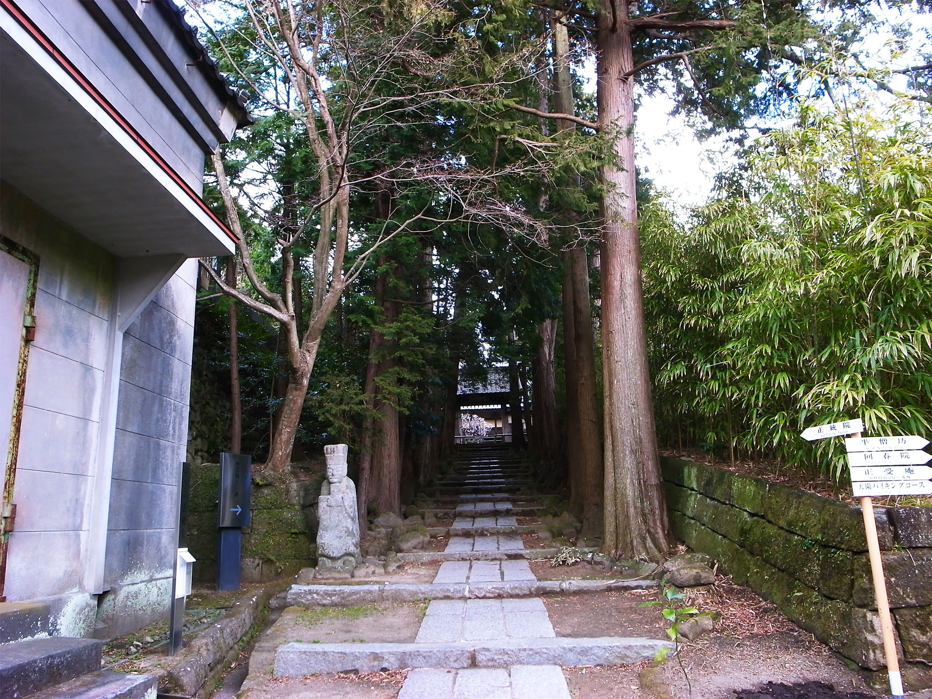 鎌倉散策と梅の花と | Kamakura walking and Ume in 2016