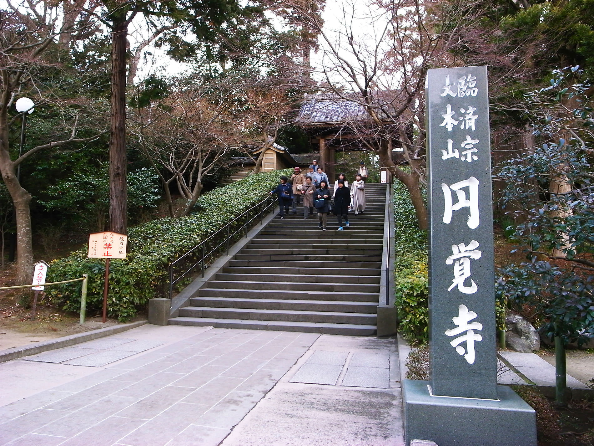 鎌倉散策と梅の花と | Kamakura walking and Ume in 2016