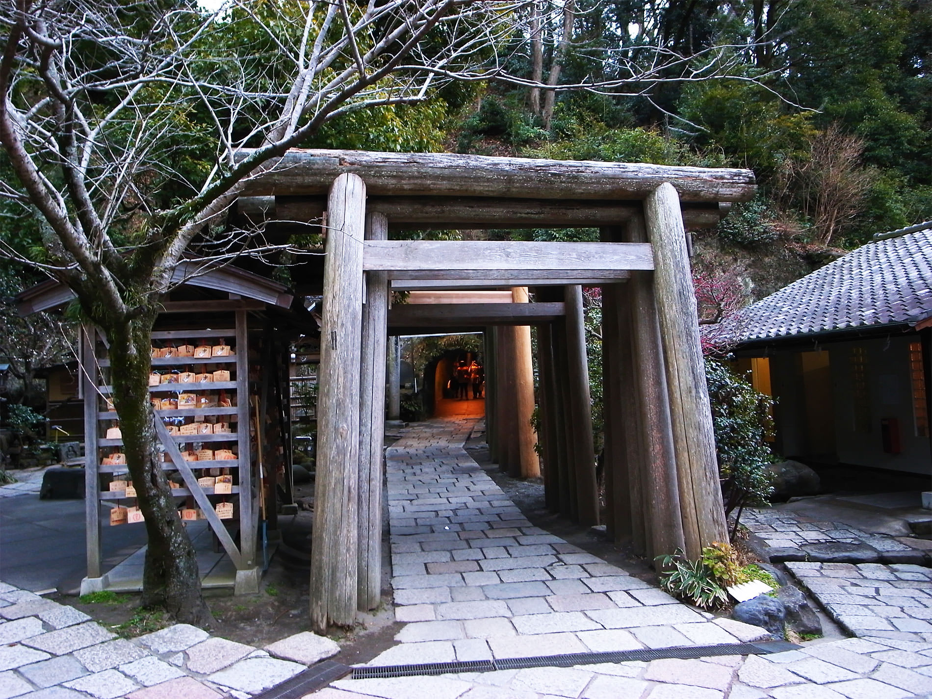 鎌倉散策と梅の花と | Kamakura walking and Ume in 2016