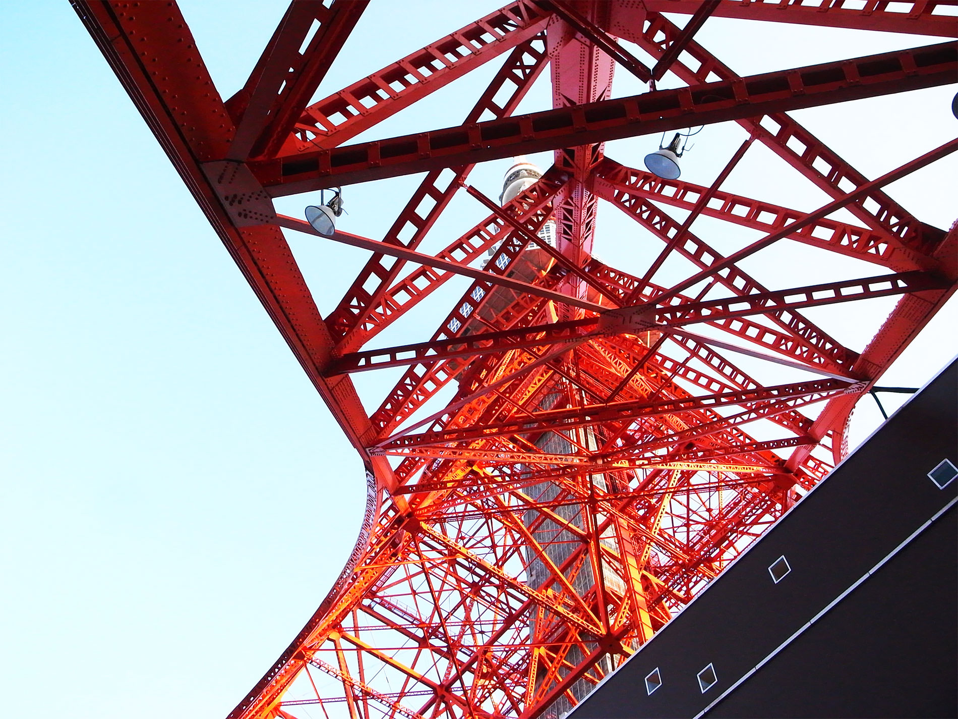 東京タワーと鯉のぼり