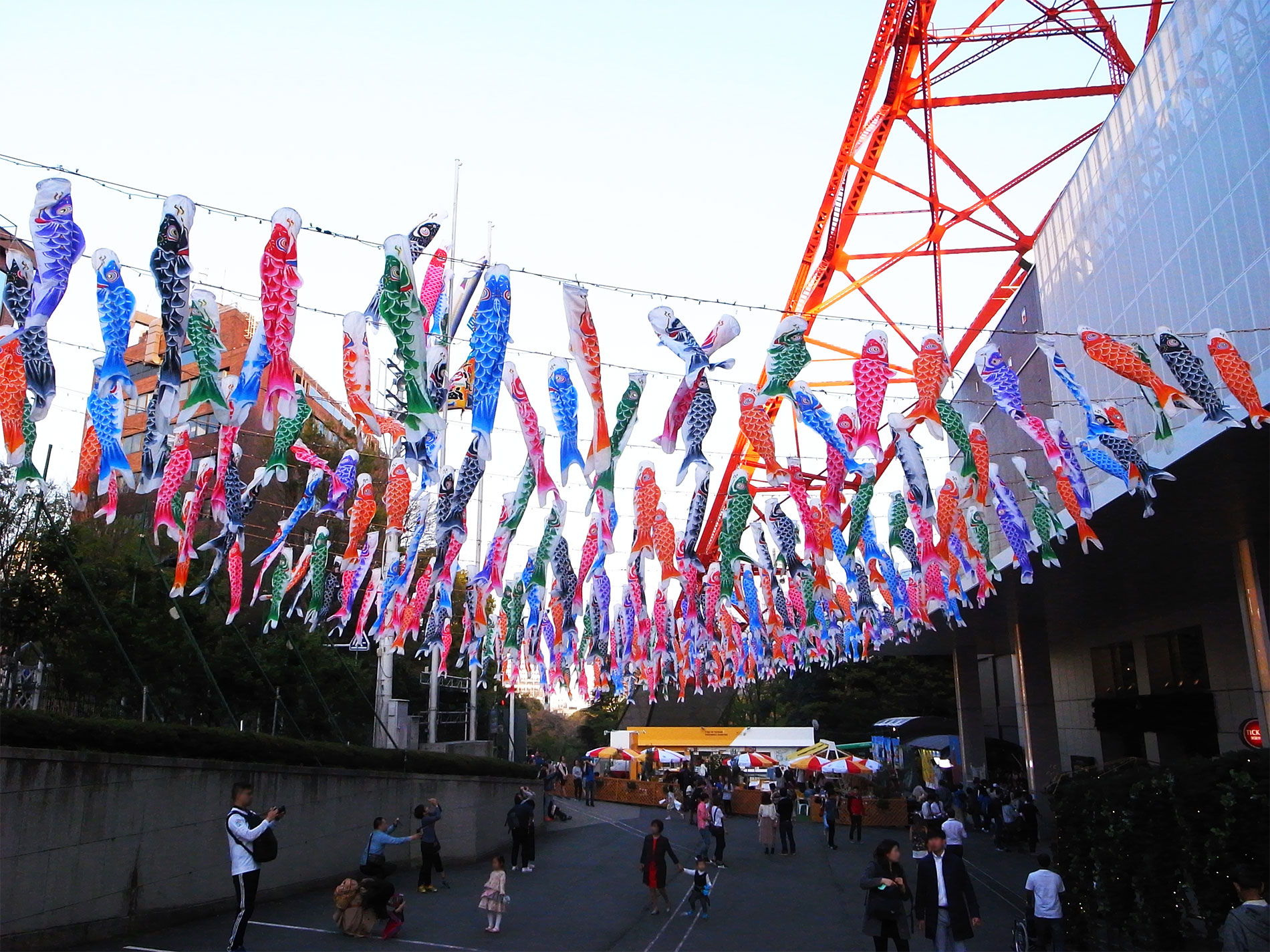 東京タワーと鯉のぼり