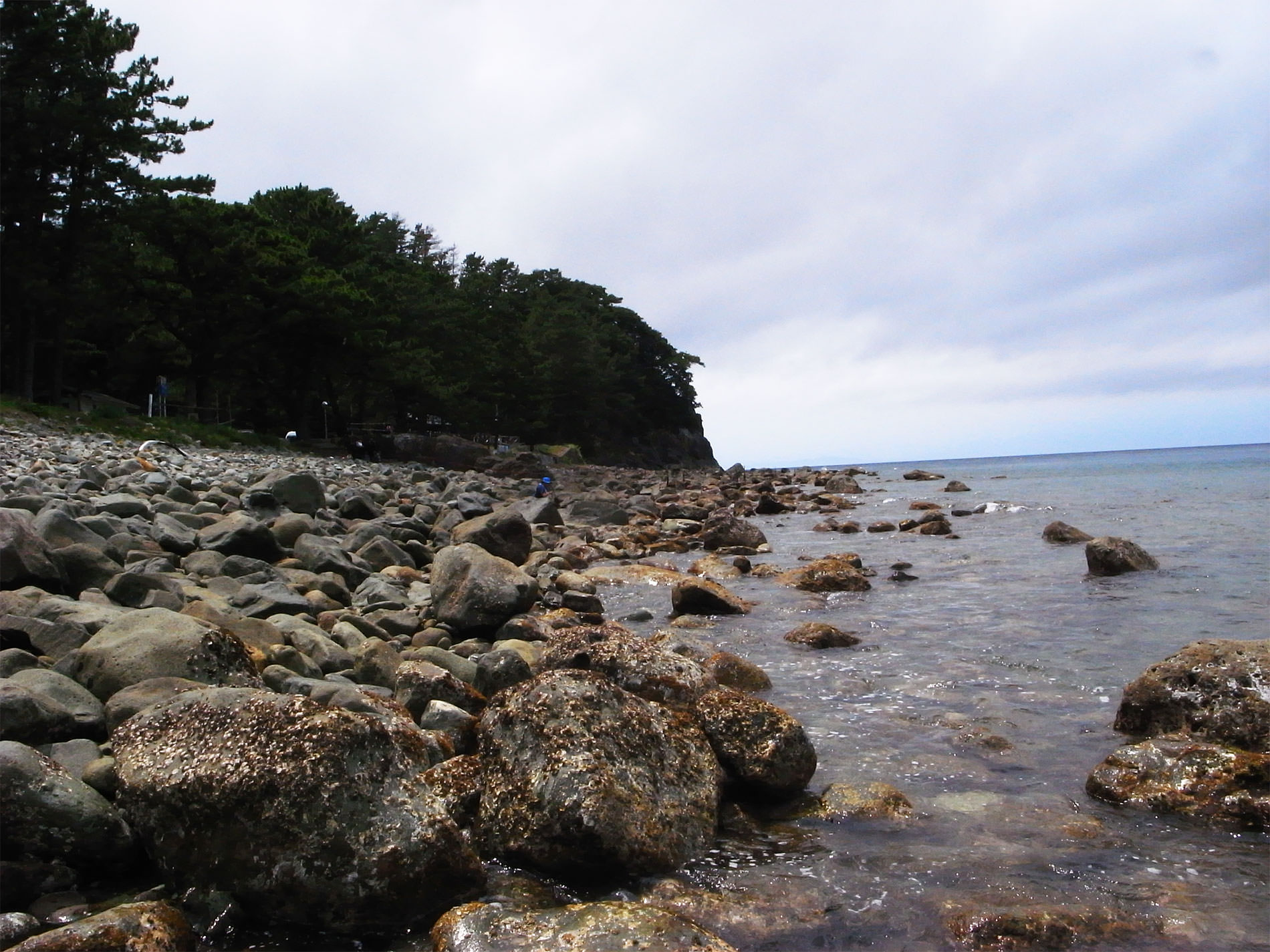 伊豆 堂ヶ島 / 2017