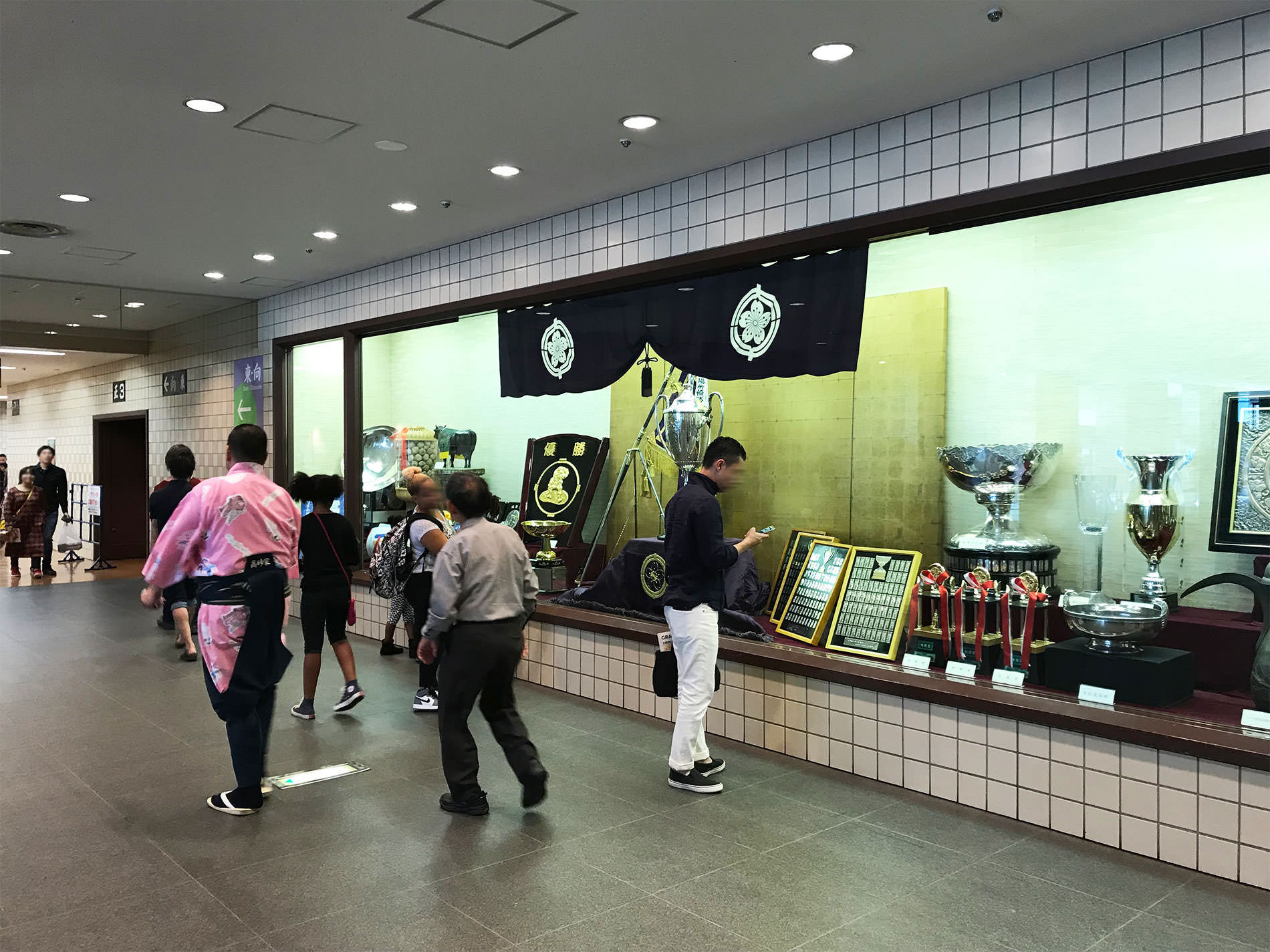 相撲観覧 九月場所 千秋楽 / 2017| Watched SUMO in September tournament finalday in 2017