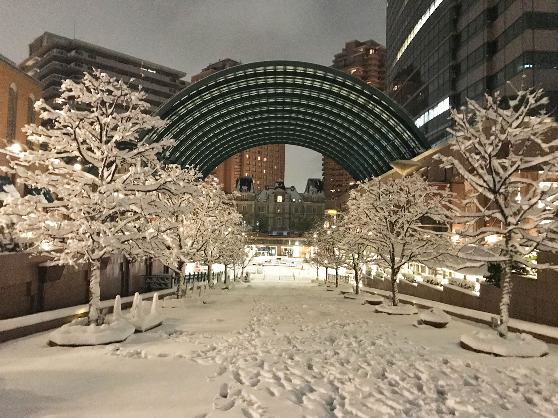 東京都 雪 / 2018