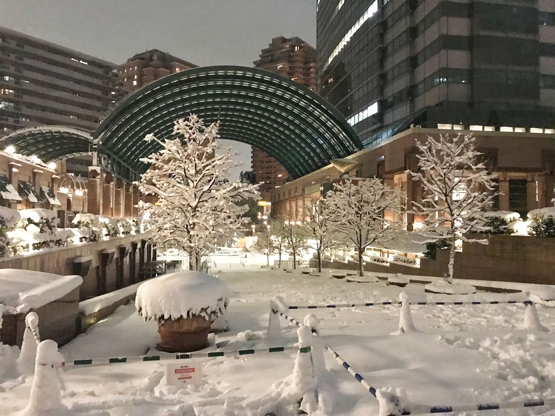 東京都 雪 / 2018