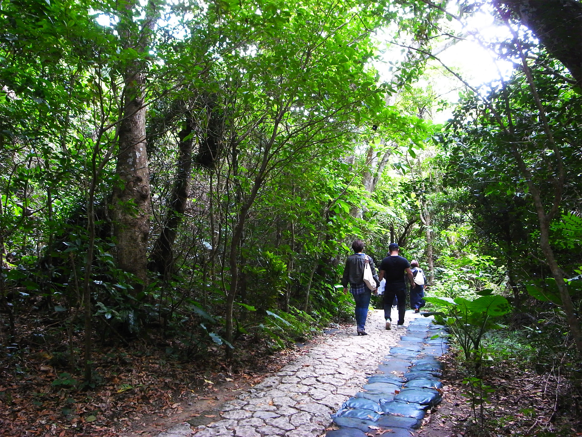 沖縄旅行 / March Okinawa Trip / 2018