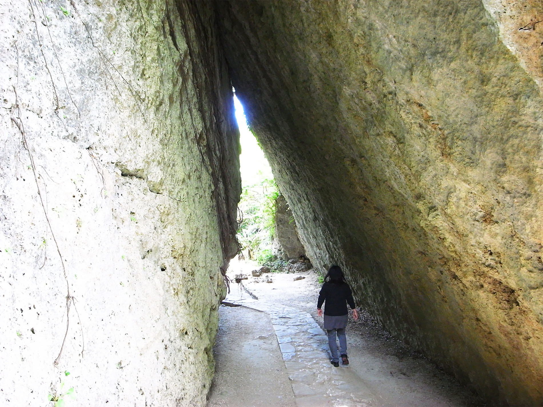 沖縄旅行 / March Okinawa Trip / 2018