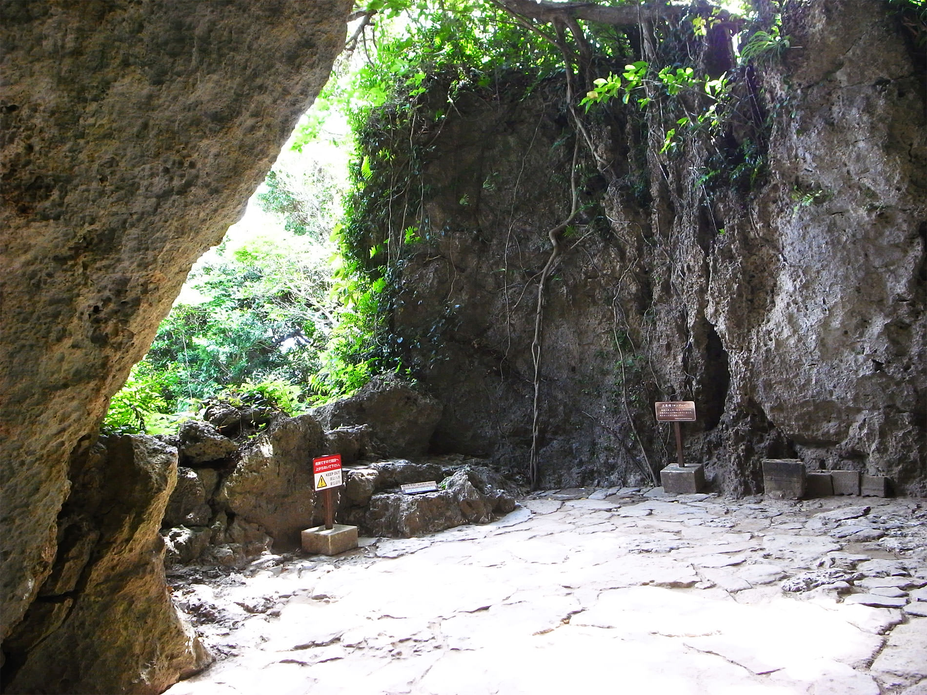 沖縄旅行 / March Okinawa Trip / 2018