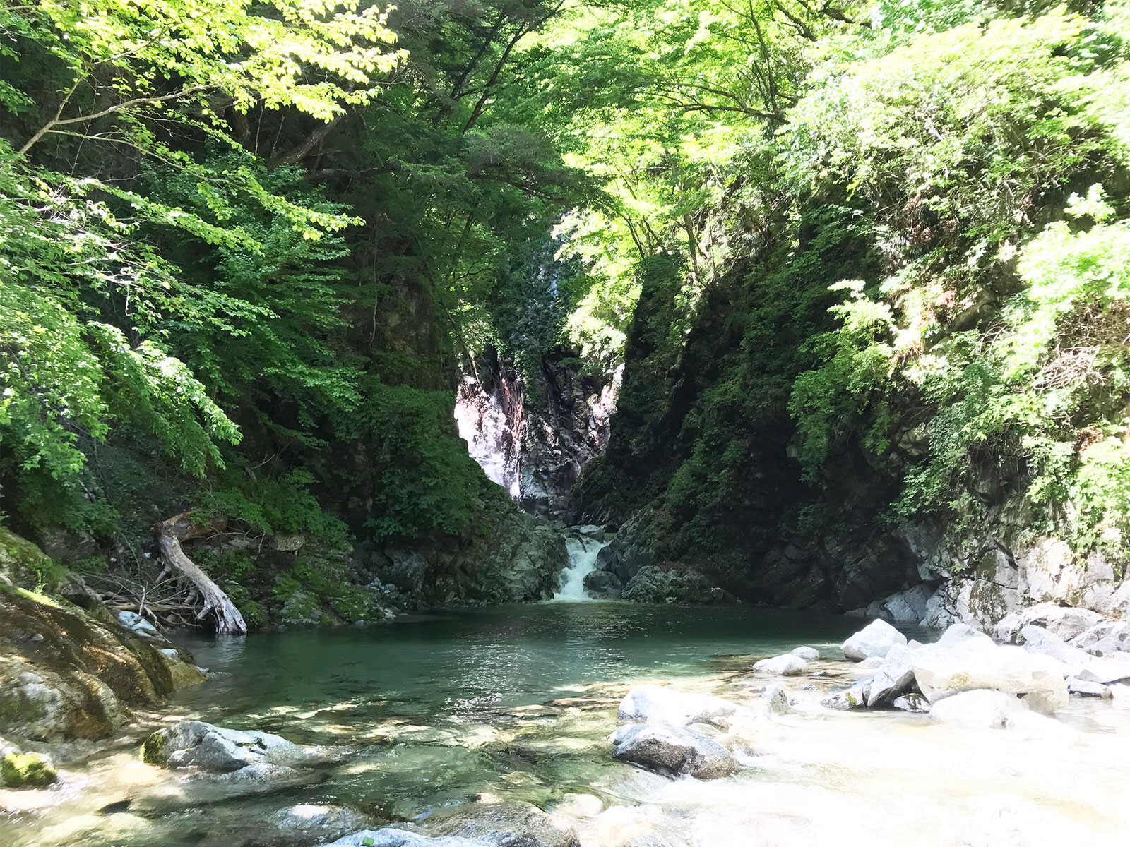 写真展と金精軒と尾白川と / Photoexhibition_Kinseiken_Ojirogawa river_2018