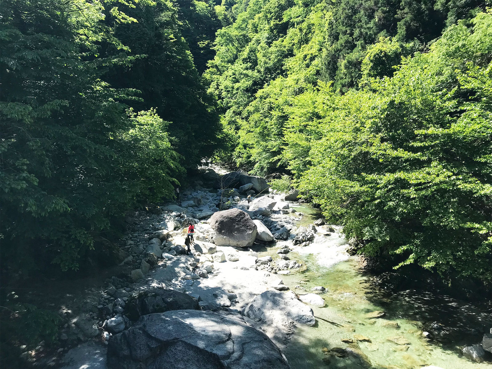 写真展と金精軒と尾白川と / Photoexhibition_Kinseiken_Ojirogawa river_2018