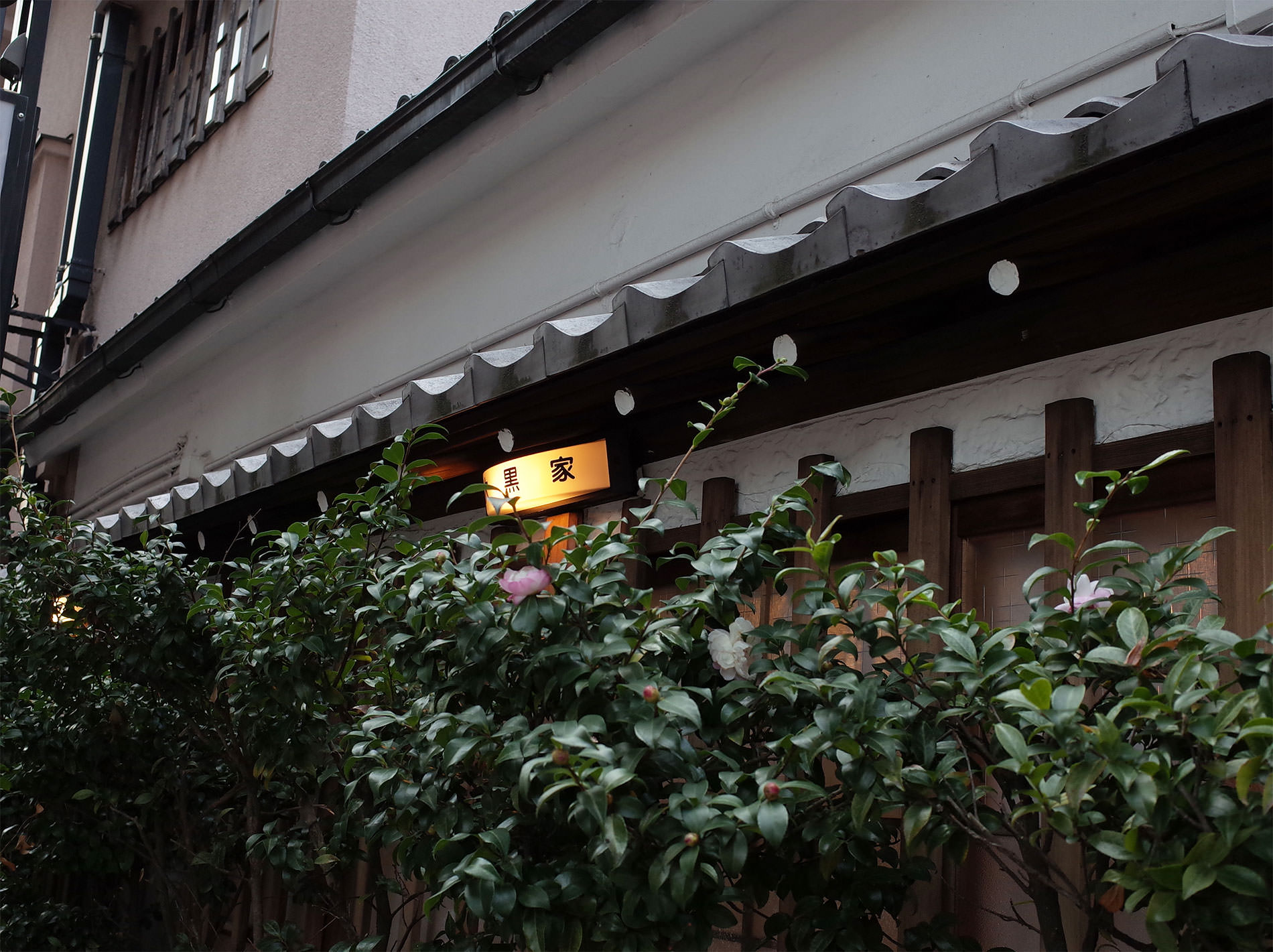 浅草 2018 / walkng_in_asakusa_2018