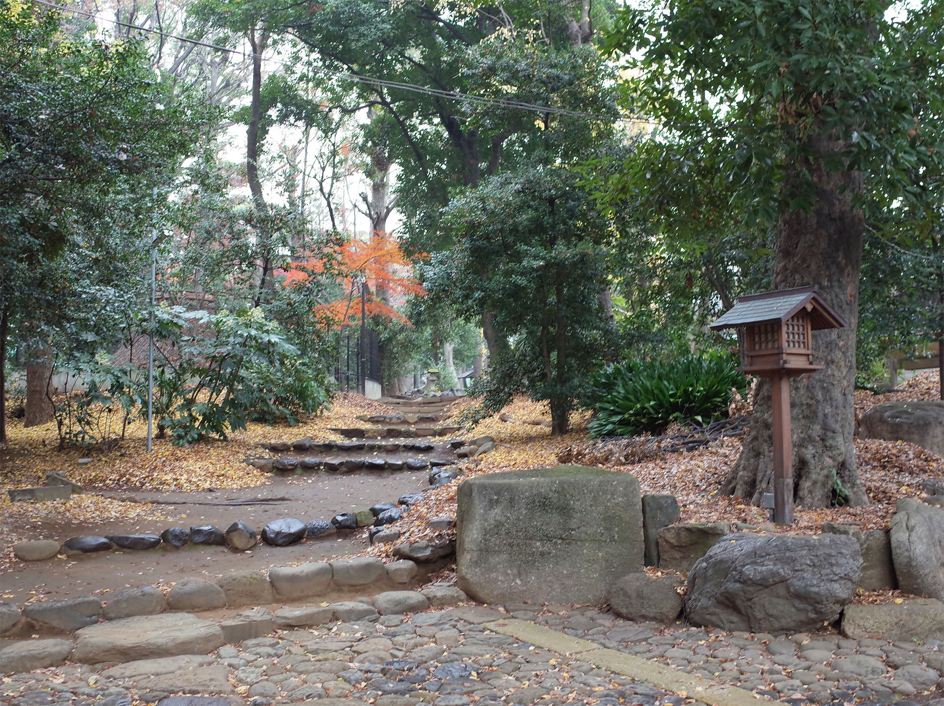 代々木八幡宮 | Visit to Yoyogi Hachiman shrine 2019