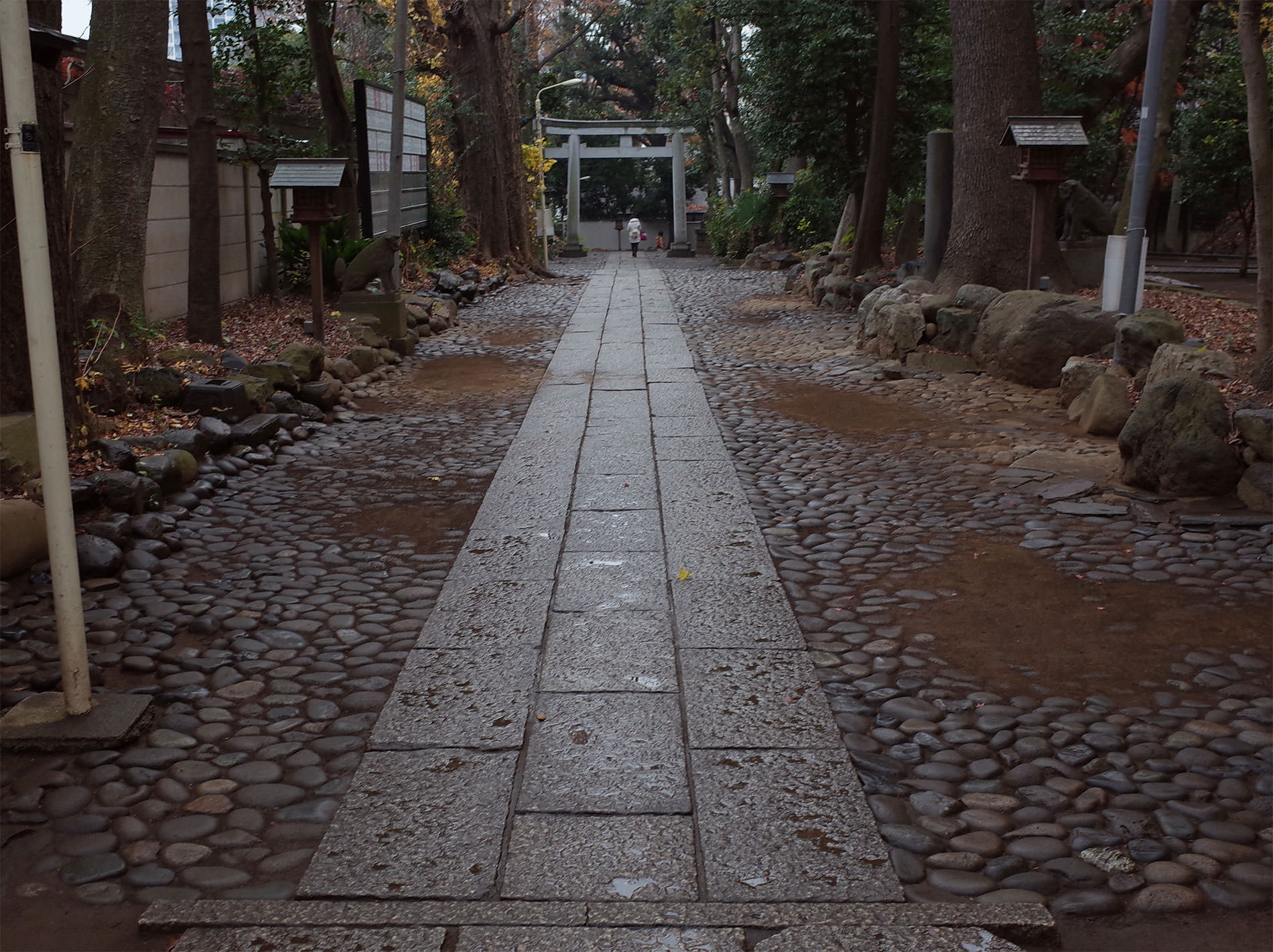 代々木八幡宮 | Visit to Yoyogi Hachiman shrine 2019