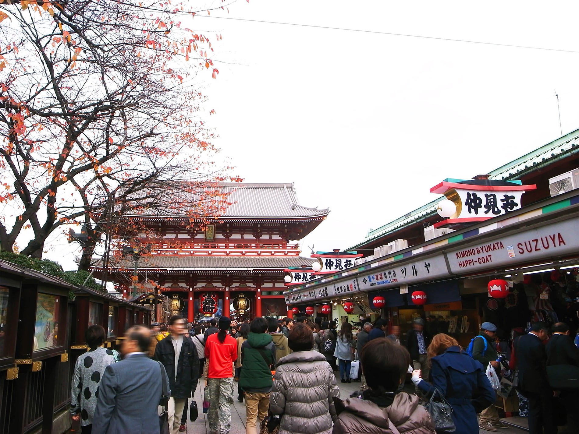 浅草と紅葉と天丼と_2014 | 141209_asakusa_yellowleaves_tendon