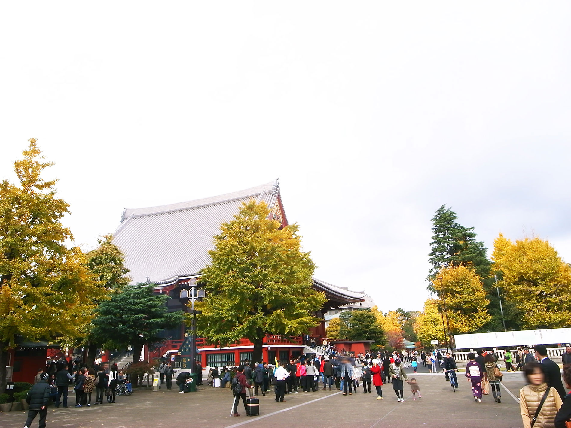 浅草と紅葉と天丼と_2014 | 141209_asakusa_yellowleaves_tendon