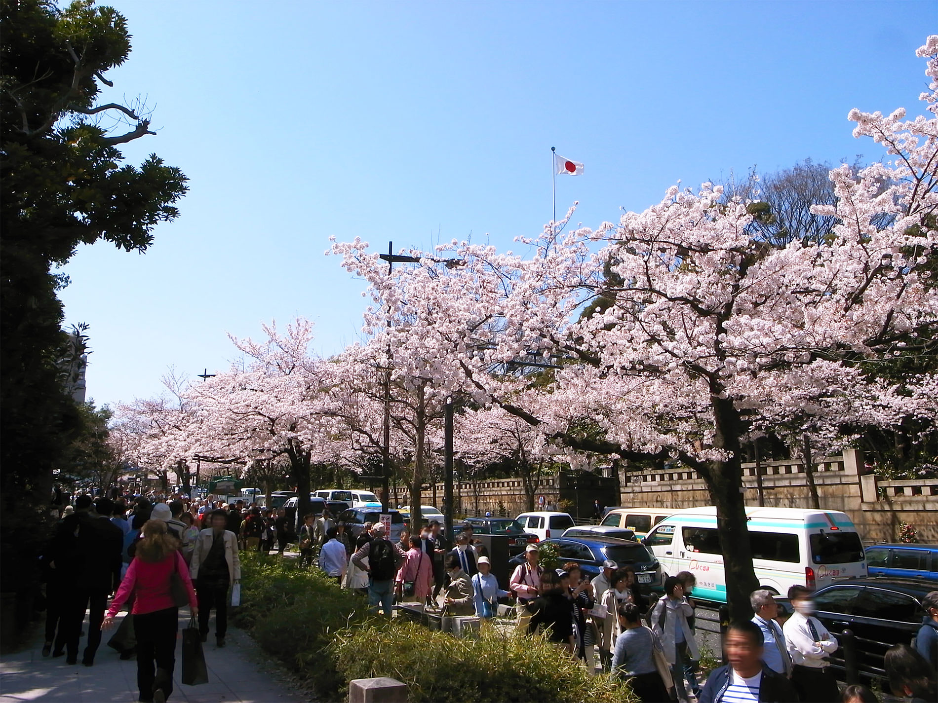 桜_千鳥ヶ淵_2015 | Sakura, Chidorigahuchi, Tokyo in 2015