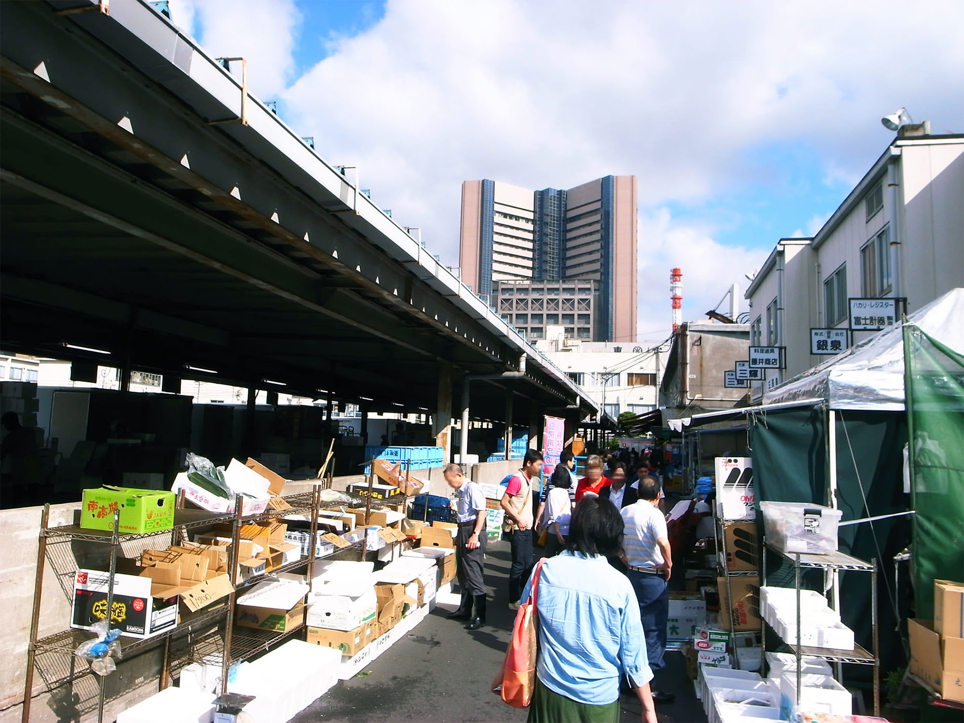 築地市場 2015 | Tsukiji Market Tokyo 2015