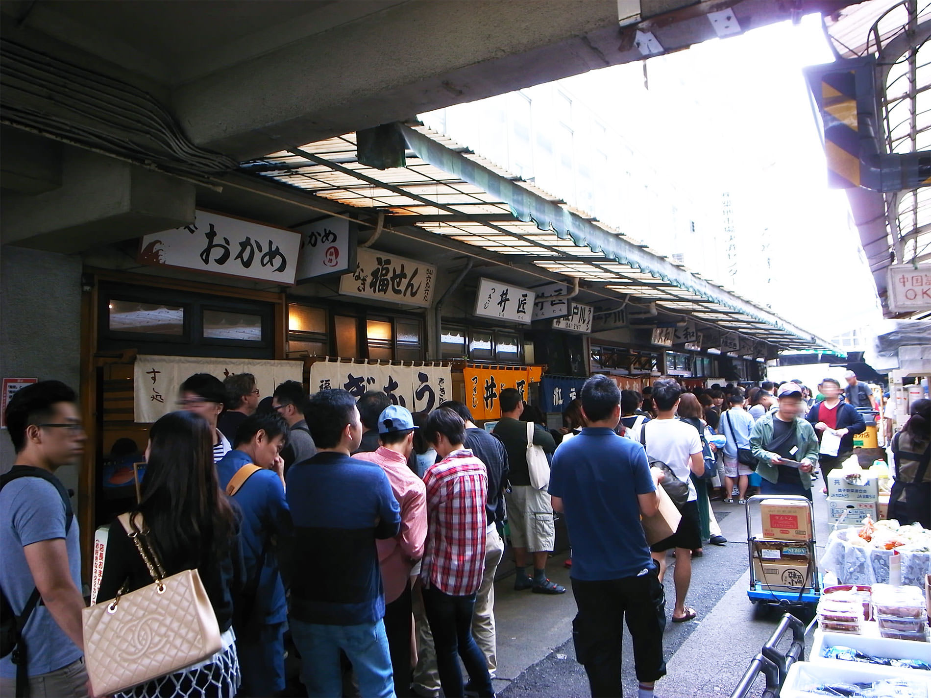 築地市場 2015 | Tsukiji Market Tokyo 2015