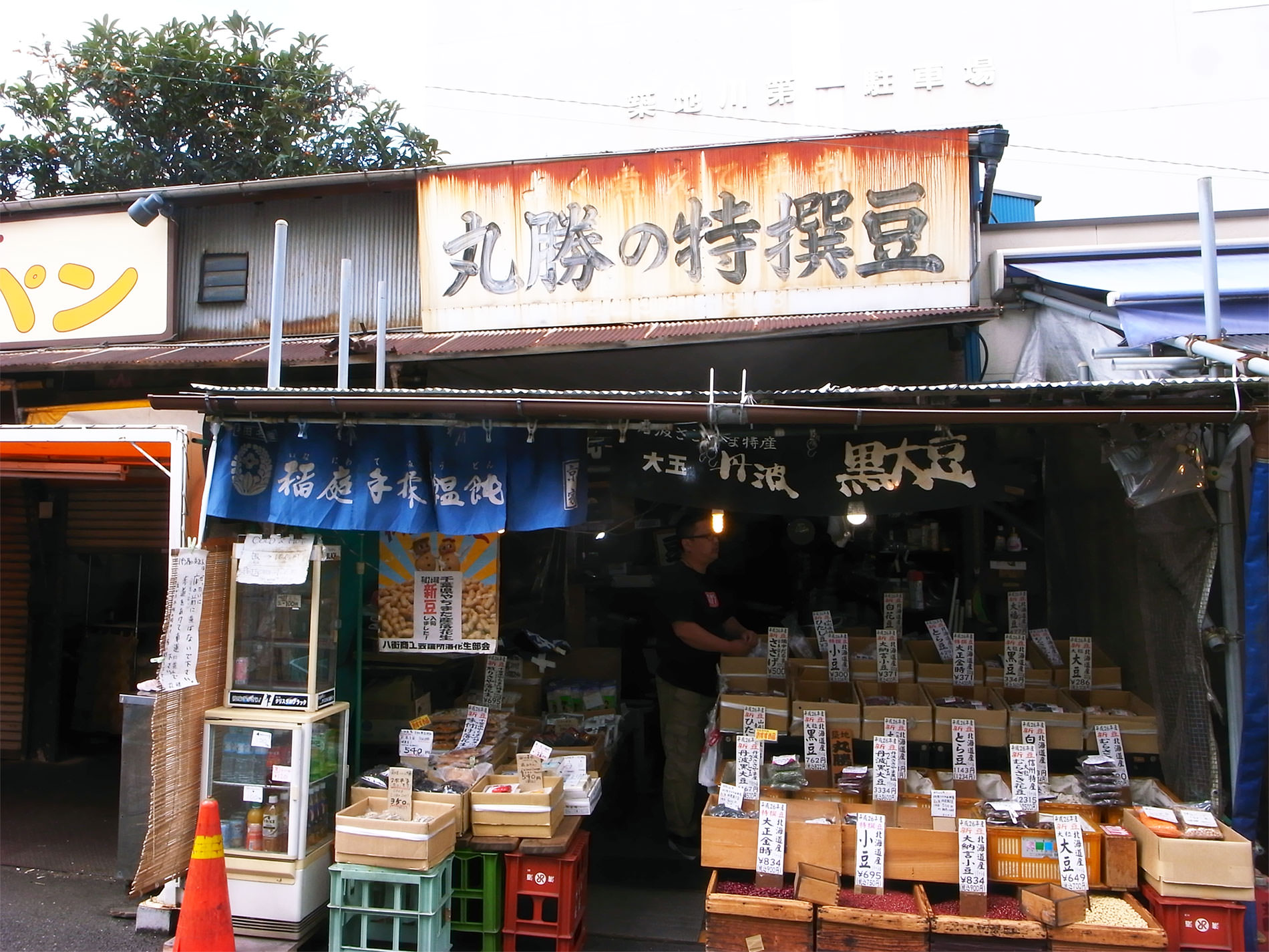 築地市場 2015 | Tsukiji Market Tokyo 2015