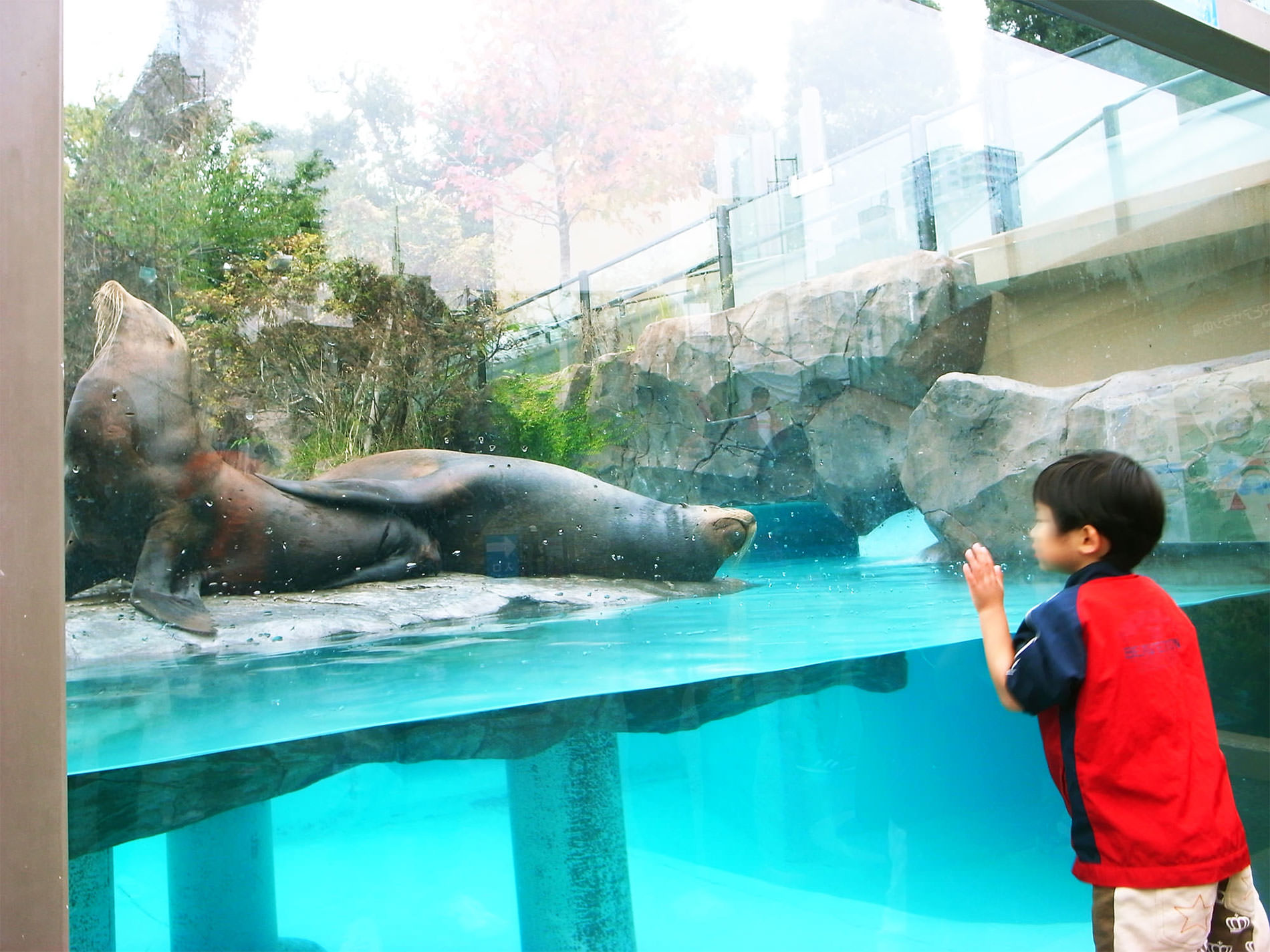 上野動物園と落語鑑賞と | Ueno Zoo and Rakugo, 2014, Tokyo