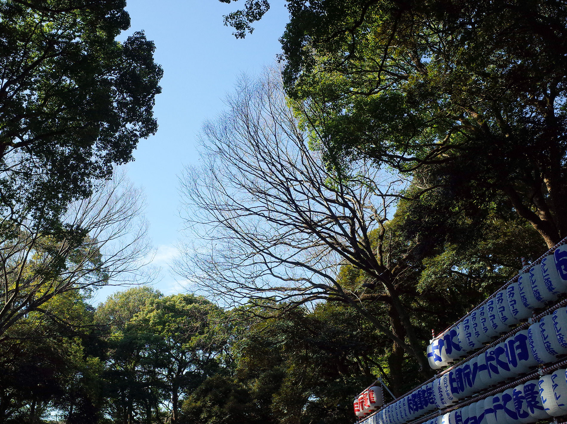 初詣 2022 / The first Tokyo's shrine visit of 2022