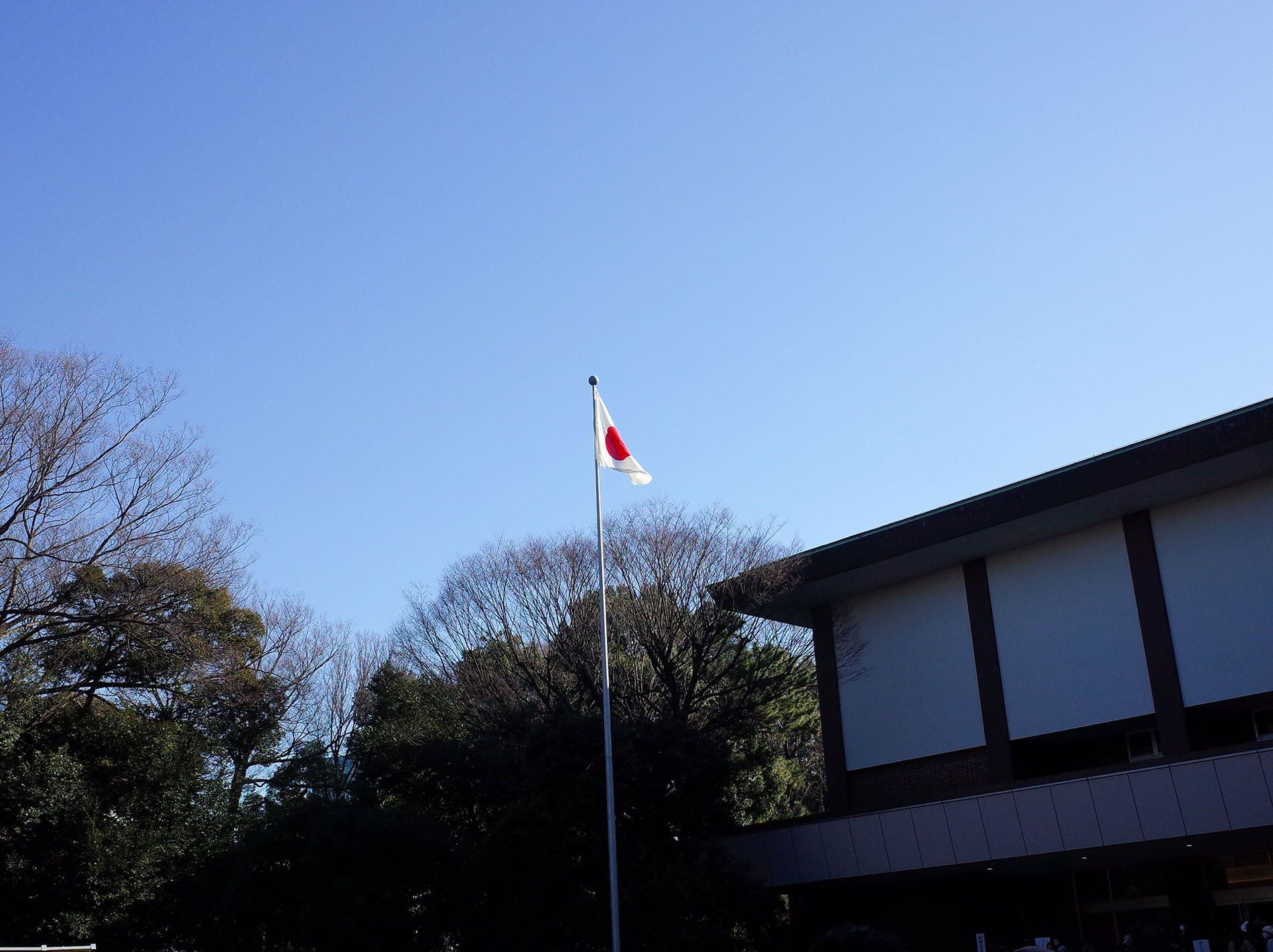 初詣 2022 / The first Tokyo's shrine visit of 2022