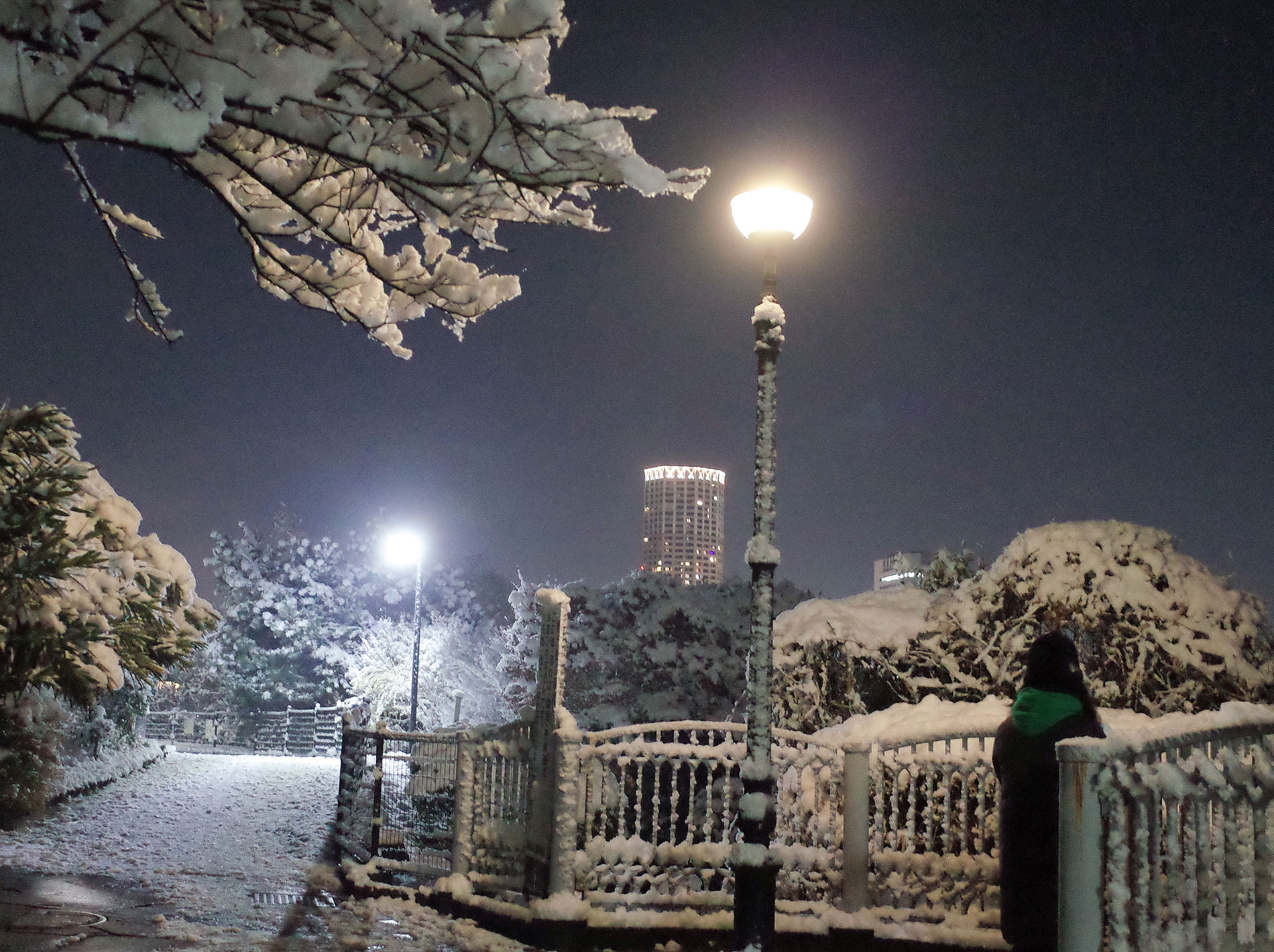 雪 2022 / It was snow in tokyo 2022