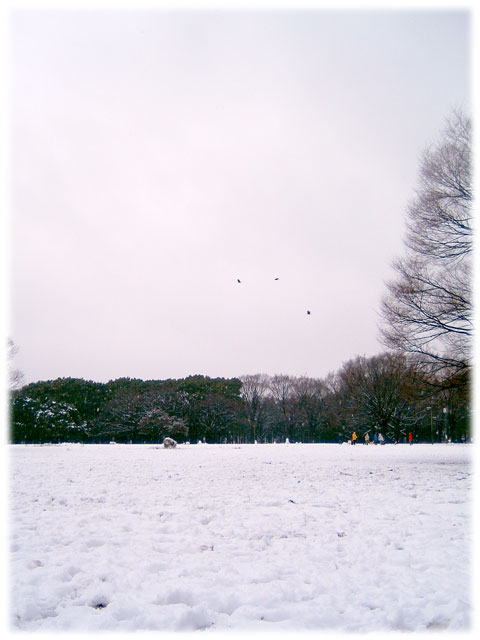 080203_snow_Yoyogipark02.jpg