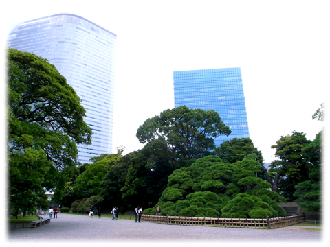 111002_Hamarikyu-01.jpg