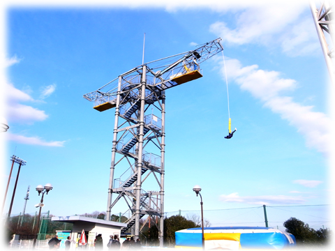 120130_Bungee_jumping-02.jpg