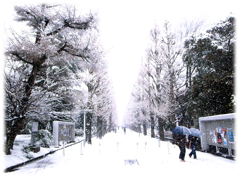 120301_Tokyo_Snowing.jpg