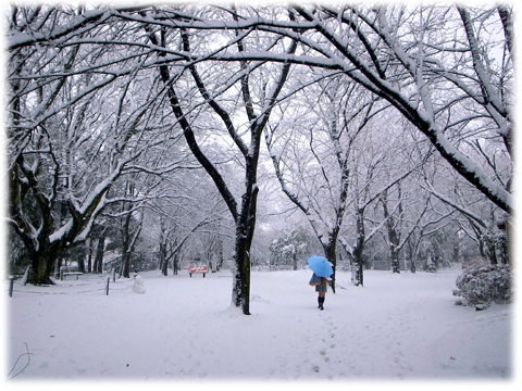 130116_Tokyo_Snowing-01.jpg